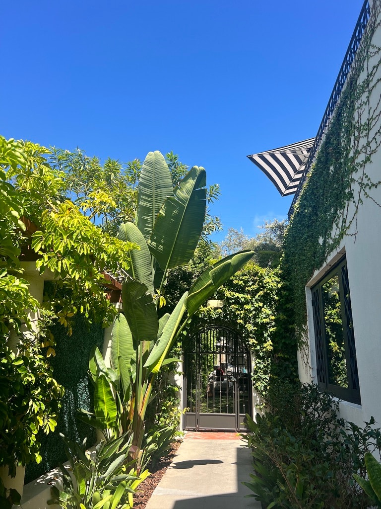 Orli La Jolla garden path with banana palms, ivy-covered walls, and an iron gate opening to the courtyard under a clear blue sky